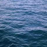Coastwise avatar